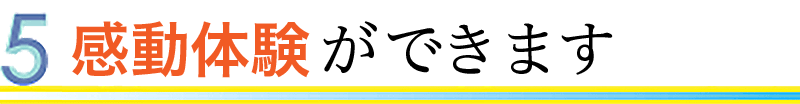 ̌ł܂