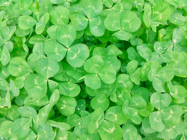 就活の基本!失敗しない企業の選び方~自分の判断軸を決める~