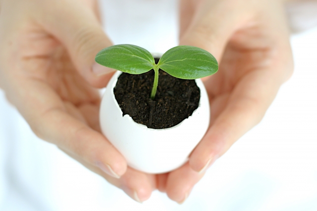 心を一つにする社員研修とは？