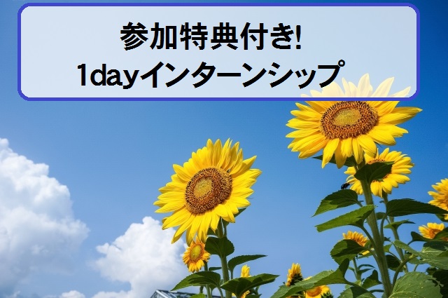 【2020年3月卒業予定者向けインターンシップ】8月は残り3回！